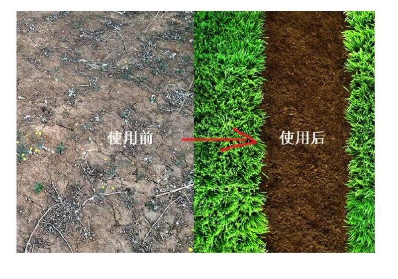 黄老源-四川黄老源生物科技有限公司的经营范围涵盖了哪些领域？让我们一起深入了解这家生物科技企业的业务范围。