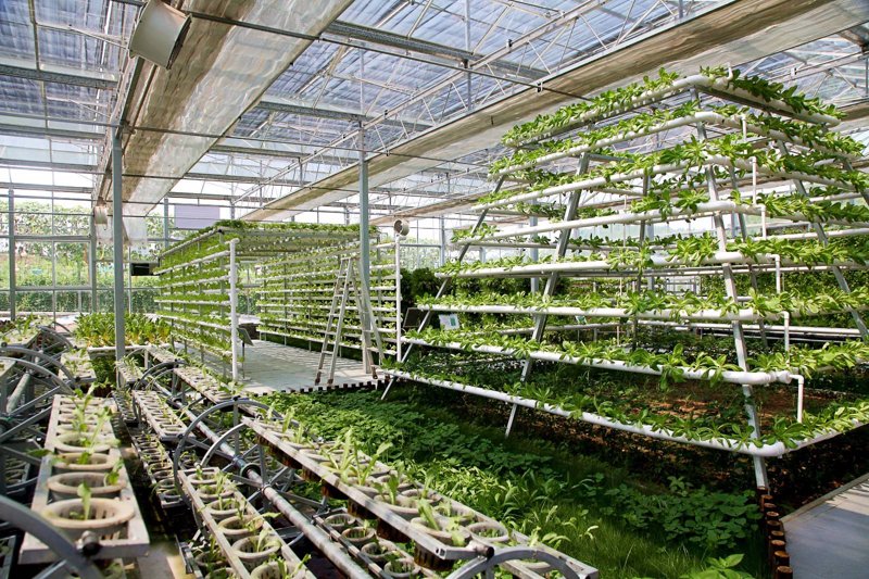 检验检疫技术中心是干嘛的？——一项行业内部对比分析