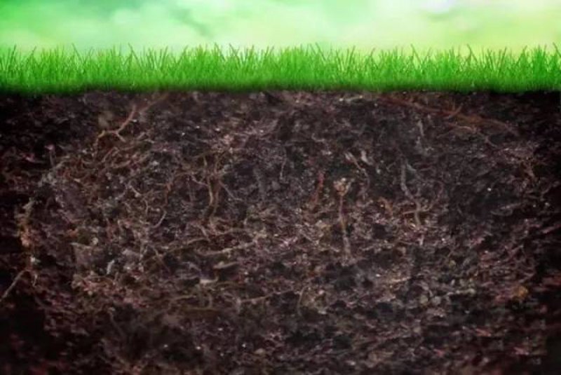 在生物科技领域，哪些企业处于领先地位？让我们一起探讨生物科技公司的最新排名。