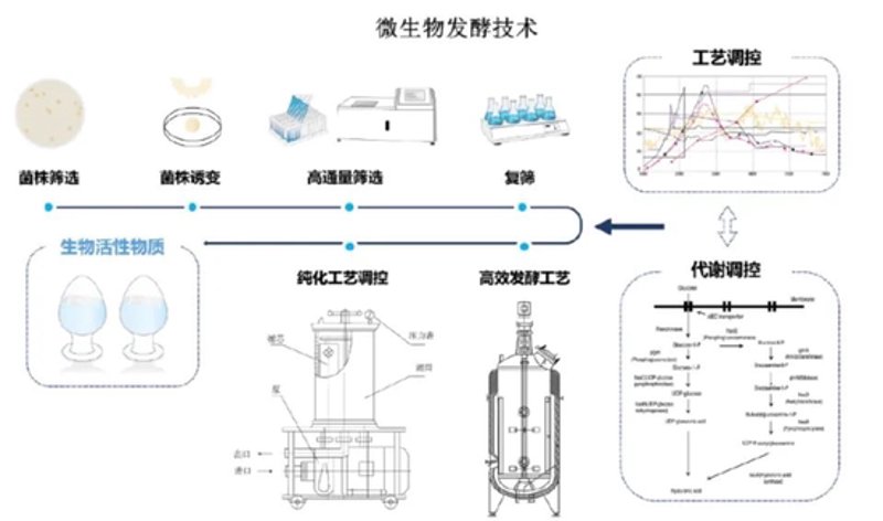 厦门出入境检验检疫技术中心：改革之路如何走？