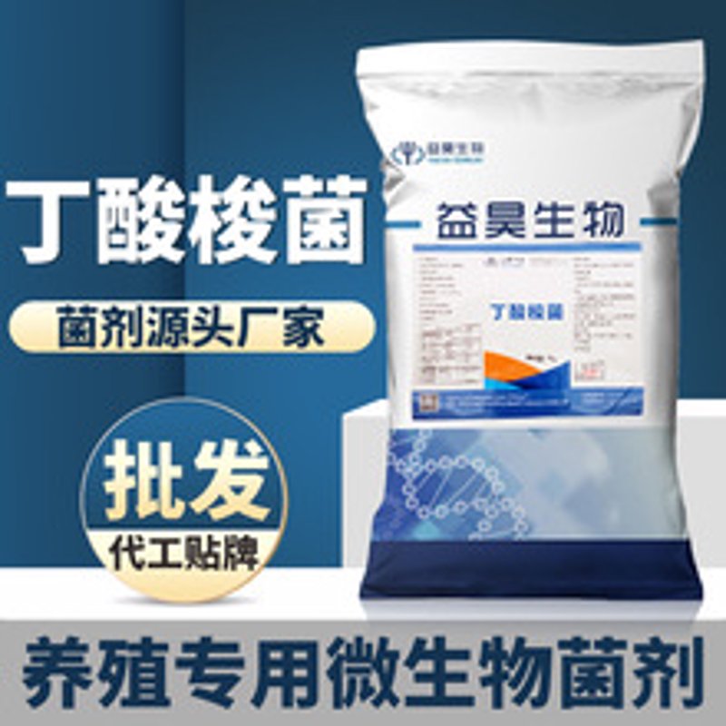 生物科技专业：探索未来发展的无限可能