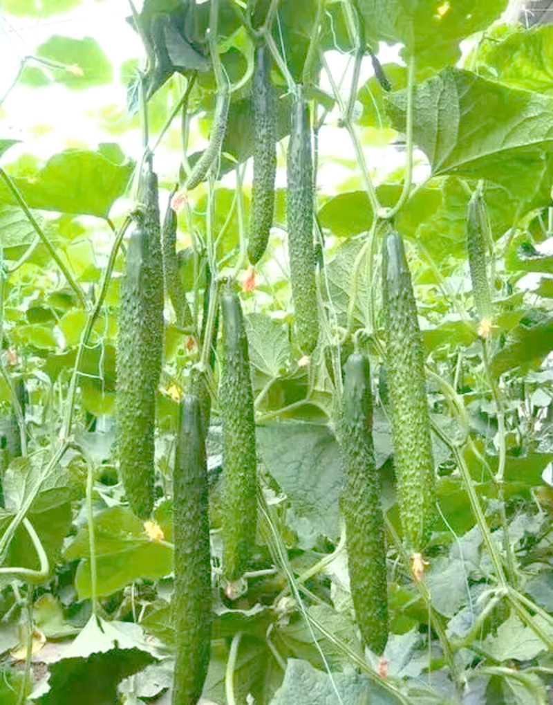 生物科技有限公司的经营范围通常广泛，涵盖了众多领域。