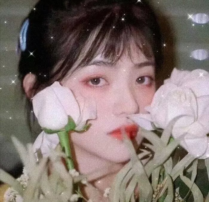 明星头像